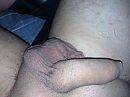 Growing cock, foto 3264x2448, 1 reacties, 6 stemmen