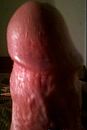HOOFD OMHOOG!!, foto 294x435, 0 reacties, 0 stemmen