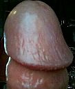 HOOFD OMHOOG!!, foto 341x405, 2 reacties, 1 stemmen