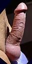 Hallo, foto 593x1180, 2 reacties, 6 stemmen
