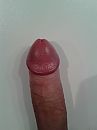 Harde pik, foto 1920x2560, 3 reacties, 10 stemmen