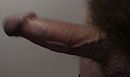 Harde pik, foto 2592x1552, 0 reacties, 0 stemmen