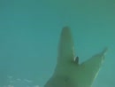Heerlijk op vakantie klaarkome, film 00:00:00, 4 reacties, 15 stemmen
