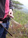 In een Noors bos, foto 1200x1600, 1 reacties, 11 stemmen