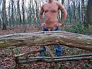 In het bos, foto 2832x2128, 1 reacties, 1 stemmen