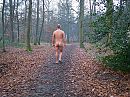 In het bos., foto 2832x2128, 1 reacties, 4 stemmen