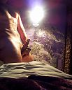 J in t hotel, foto 1719x2158, 4 reacties, 3 stemmen