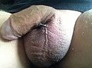 Just lazy, foto 200x150, 0 reacties, 1 stemmen