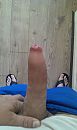 Jwz, foto 1952x3264, 5 reacties, 13 stemmen