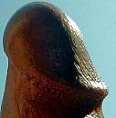 KOP OP!!, foto 460x470, 0 reacties, 1 stemmen