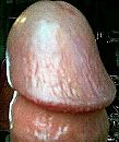 KOP OP!!, foto 341x405, 0 reacties, 2 stemmen