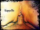 KoppelBe, foto 3968x2976, 1 reacties, 5 stemmen