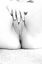 Kunst of...., foto 2667x4000, 1 reacties, 14 stemmen