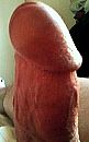 LE CHEF, foto 248x394, 0 reacties, 0 stemmen