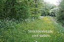 Lekker afgelegen in Streekbos., foto 1200x800, 18 reacties, 65 stemmen