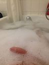 Lekker in bad, foto 2448x3264, 0 reacties, 0 stemmen