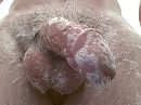 Lekker ingezeept, foto 1280x960, 0 reacties, 2 stemmen
