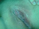 Lekker kutje, foto 800x600, 1 reacties, 12 stemmen