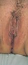 Likbare kut?, foto 829x1885, 0 reacties, 13 stemmen