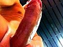 MM, foto 320x240, 3 reacties, 4 stemmen