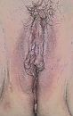 Mijn rijpe kut..., foto 783x1225, 0 reacties, 15 stemmen