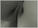 Mooi lijnenspel (close-up), foto 4000x3027, 2 reacties, 17 stemmen