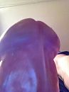 My cock, foto 480x640, 0 reacties, 1 stemmen