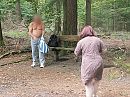 Nog even in venray geweest, foto 2560x1920, 1 reacties, 34 stemmen