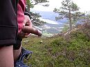 Norwegian Wood, foto 1280x960, 9 reacties, 11 stemmen