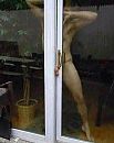 Ojee....., foto 412x518, 3 reacties, 11 stemmen