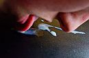 Paasdate, foto 4000x2666, 1 reacties, 2 stemmen
