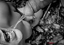 Pee, foto 800x565, 4 reacties, 30 stemmen
