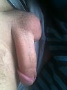 Pikkie, foto 1536x2048, 3 reacties, 7 stemmen