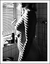 Plaatje, foto 2322x2931, 2 reacties, 25 stemmen
