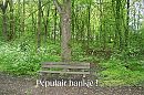 Populair bankje voor fotoshoot, foto 1200x800, 20 reacties, 71 stemmen