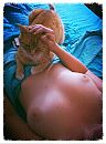 Relaxed, foto 1932x2587, 5 reacties, 18 stemmen