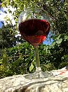Santé......, foto 2448x3264, 8 reacties, 19 stemmen
