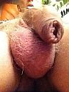 Slap, foto 480x640, 2 reacties, 2 stemmen