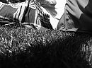 Snel...., foto 2592x1936, 2 reacties, 5 stemmen