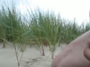Spuitfilmpje, film 00:00:17, 66 reacties, 160 stemmen