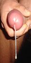 Spuitfoto...., foto 512x1024, 1 reacties, 2 stemmen