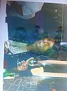 Spuitfoto, foto 1936x2592, 0 reacties, 1 stemmen