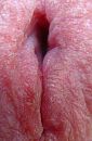 Spuitopening, foto 315x480, 3 reacties, 17 stemmen
