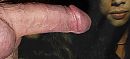 Stijf, foto 1848x848, 0 reacties, 1 stemmen