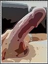 To lick..., foto 973x1280, 2 reacties, 9 stemmen