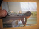 Voor Aster2, foto 2592x1944, 1 reacties, 4 stemmen