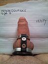 Verify, foto 1536x2048, 0 reacties, 2 stemmen