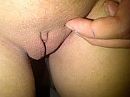 Vers geschoren, foto 240x180, 1 reacties, 3 stemmen