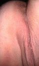 Voor de Dominant, foto 1552x2592, 0 reacties, 1 stemmen