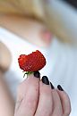 Voor fruit...., foto 2666x4000, 0 reacties, 13 stemmen